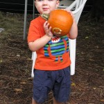 My little pumpkin at the Patch