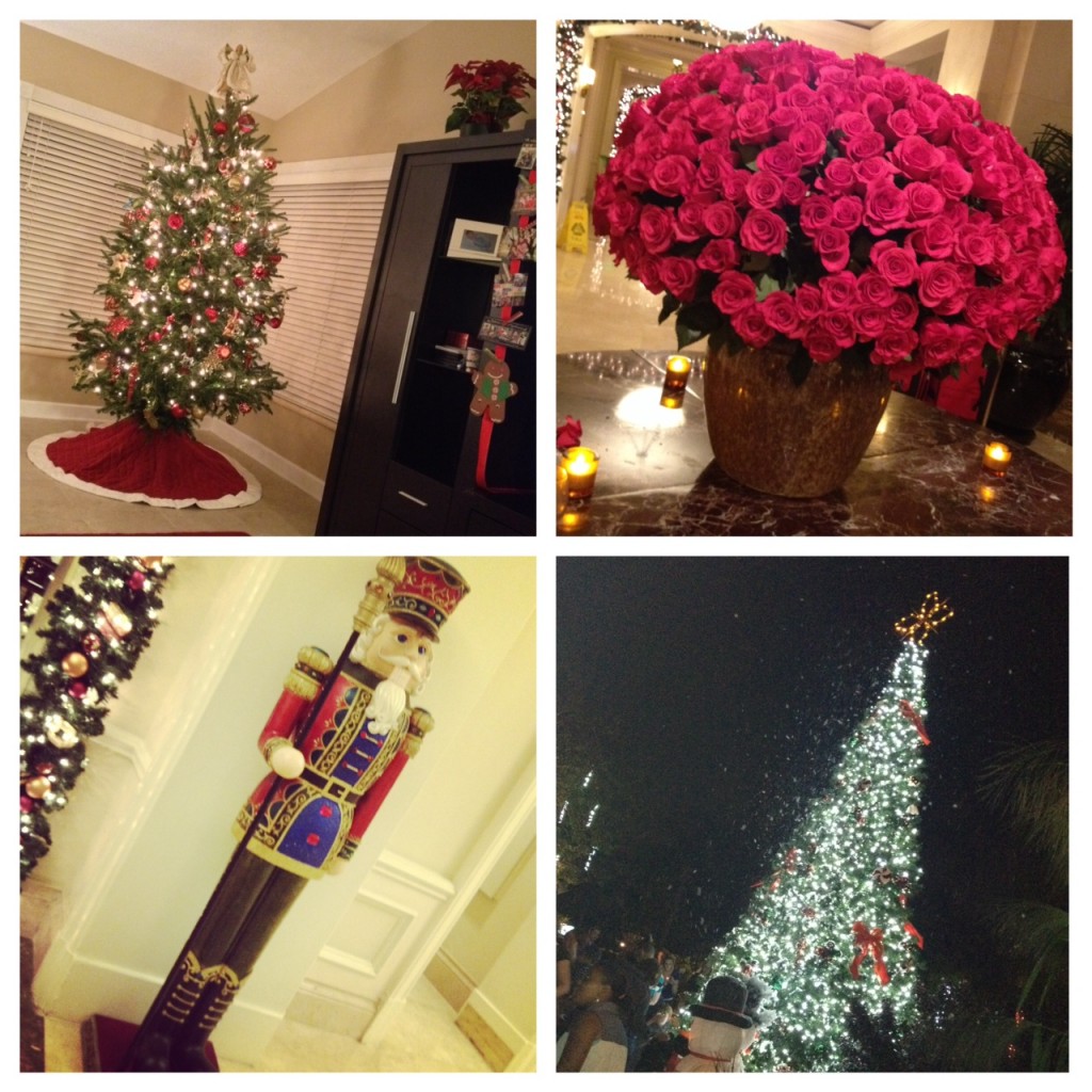 Holiday Decorations from our home, The Ritz Carlton Key Biscayne (roses & nutcracker), and even Zoo Miami.